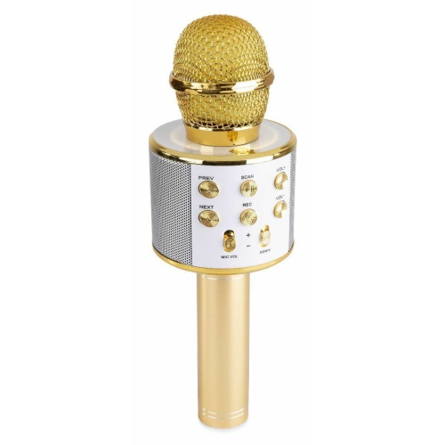 MAX KM01 Karaoke microfoon met ingebouwde speaker