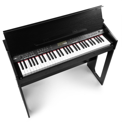 MAX RhapsodyDP61 digitale piano - professioneel keyboard inclusief